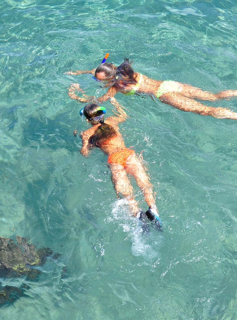 Snorkelling and Scuba Diving